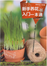 新手养花入门一本通